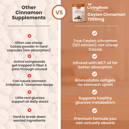LivingRoot Organic Ceylon Cinnamon Parasite Cleanser Powder